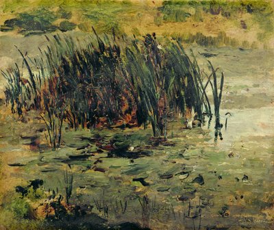 Reeds in Shallow Water by Paul Baum